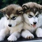 Kuba Mogilnicki - Instagram Profile Picture of Kuba Mogilnicki (@kubamogilnicki) on Instagram