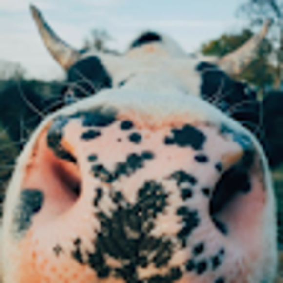 Jessica Halvorsen - Poshmark Profile Picture of Jessica Halvorsen (@jessicahalvo908) on Poshmark