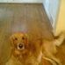 Profile Picture of Grant Schirmer (@grant.schirmer.737) on Facebook