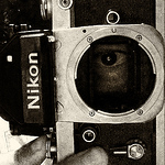 Profile Picture of Paulo Camargo (@Paulo Henrique Camargo) on Flickr