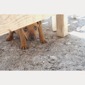 Profile Picture of Cassandra Pinto (@cassandrapinto5787) on Youtube