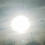 Profile Picture of Charlie Cisneros (@charlie_sorensic) on Instagram