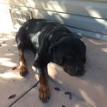 Profile Picture of Jordan Matthew Malczyk (@jmmalczyk) on Instagram