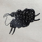 Sean Brian Rosner - Flickr Profile Picture of Sean Brian Rosner (@s.b.r_) on Flickr