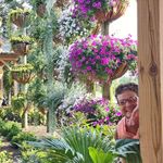 Profile Picture of Charlotte Snowden (@charlottesnowden) on Instagram