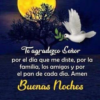 Profile Picture of Nelson Rua (@nelson.rua.568) on Facebook