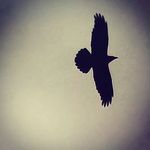 Profile Picture of Jason Cameron (@jasondavidcameron) on Instagram
