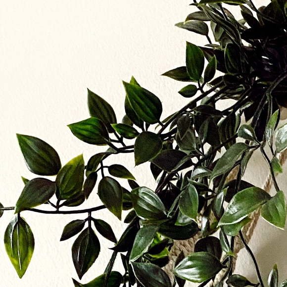 Hannah Stoll - Poshmark Profile Picture of Hannah Stoll (@hannah0606) on Poshmark