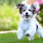 Profile Picture of Jonathan Bonney (@jona_than653) on Instagram