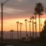 Profile Picture of Christopher Scianna (@chrisscianna) on Instagram
