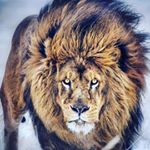 Profile Picture of Kenny!!!🤘🙄🤑💯 (@kennytillman22) on Instagram