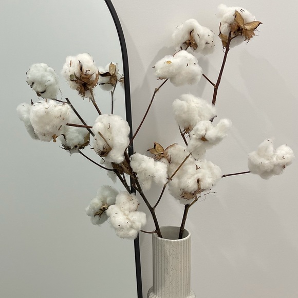 Profile Picture of Kristina Mazzeo (@k_mazz101) on Poshmark