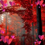 Profile Picture of Marie Ackerman (@Marie-Ackerman) on Facebook