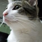 Profile Picture of Eli Knight (@eli.knight.9461) on Instagram