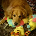 Profile Picture of Jim Cordell (@cordelljr__) on Instagram