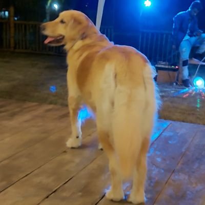 Profile Picture of Julio Coloma (@JulioColoma14) on Twitter