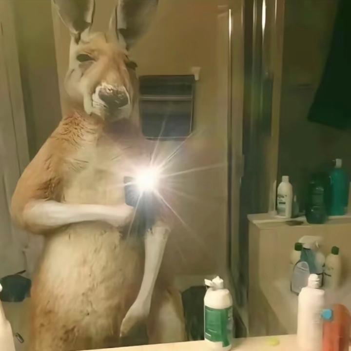 Profile Picture of Rosanny Lorenzo Rosario (@rosannylorenzoros) on Tiktok