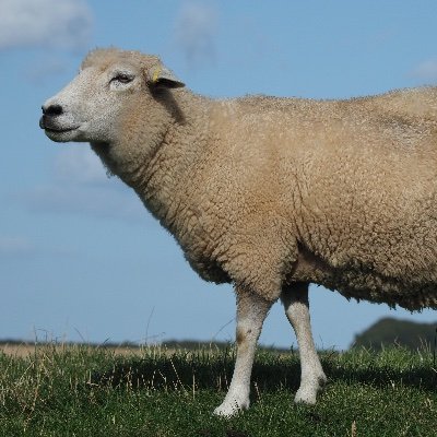 Profile Picture of John Millican (@sunny_smiler) on Twitter