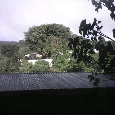 Profile Picture of Reyes Velasquez (@reyesvelasquez6) on Twitter