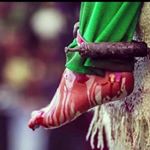 Profile Picture of Hammad Zaidi (@p_zaidi) on Instagram
