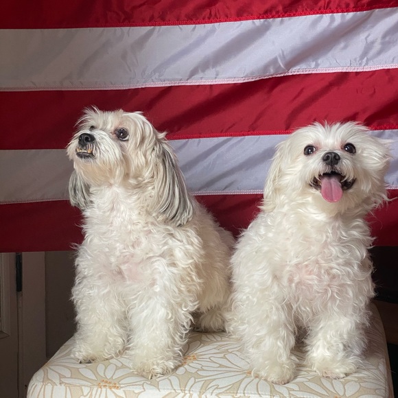 Profile Picture of Luz Otalvaro (@luzotalvaro) on Poshmark