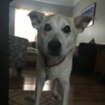 Profile Picture of Marty Oswald Mays (@martyoswaldmaysesquire) on Instagram