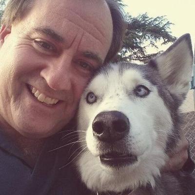 Profile Picture of David Syring (@dsyringp) on Twitter