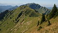 Profile Picture of Sedererstuibenon Wikipedia
