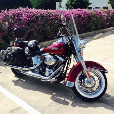 Pete Alvarado - Twitter Profile Picture of Pete Alvarado (@psa564) on Twitter