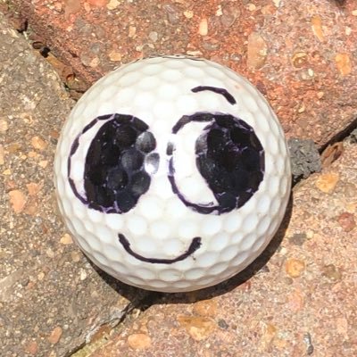 Profile Picture of Bob Jeb Ponfrancé Fowdryphil (@BobTheGolfBall1) on Twitter