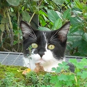 Stefka - Youtube Profile Picture of Stefka (@stefka9156) on Youtube