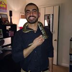 Profile Picture of Sameer Javed (@thatarabspice) on Instagram