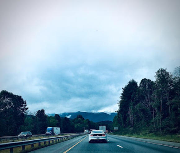 Profile Picture of Autumn Marks (@autumnmarks188) on Poshmark