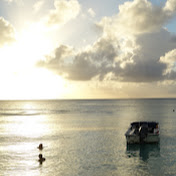 Profile Picture of Shelly Li (@ilovetutu76) on Youtube