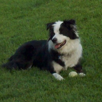 Profile Picture of Rod Kramer (@singletrackrod) on Twitter