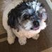 Profile Picture of Sharon Valenti Ormsbee (@sharon.valentiormsbee) on Facebook