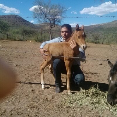 Profile Picture of Gustavo Alarcon (@escobasa) on Twitter