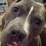 Profile Picture of caleb_chaney (@caleb.chaney04) on Instagram