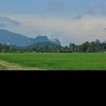 Profile Picture of zachary_ortize (@zachary_ortize) on Instagram