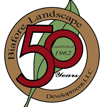 Profile Picture of Michael Biafore (@Michaelbiafore1) on Twitter