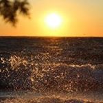 roamabout - Instagram Profile Picture of roamabout (@oaksavannah) on Instagram