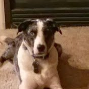 Profile Picture of Michael Gilbert (@michaelgilbert1437) on Youtube