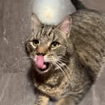 Profile Picture of Jeremy Hackett (@Jeremy-Hackett) on Facebook