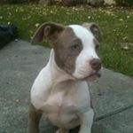 Profile Picture of James Rayford (@james_rayford) on Instagram