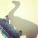 Profile Picture of Jacob Gallegos (@jacobj_gallegos) on Instagram