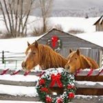 Profile Picture of Kim Henshaw (@kimhenshaw5267) on Instagram