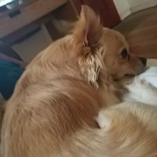 Profile Picture of Gavin Graves (@GavinGraves14) on Twitter