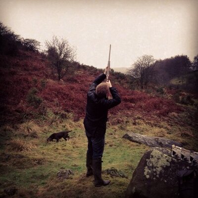 Profile Picture of Tom Wain (@tom_wain) on Twitter