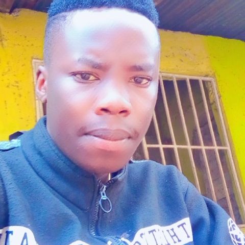 Profile Picture of danny holly (@tadeidanny) on Tiktok