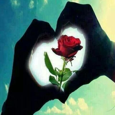 Profile Picture of Mohammed Alshaer (@mohamme61217793) on Twitter